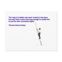 Confidence postcards by Tuscumbia Confidence postcards