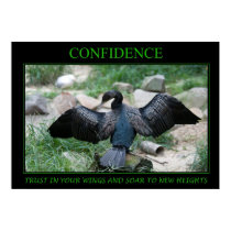 Confidence posters