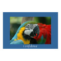 Confidence posters by mlane53 Confidence posters