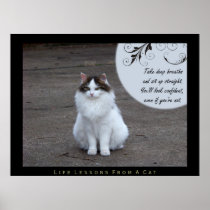 Confident Life Lessons From a Cat Fine Art Print