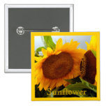 Confidential Sunflower Pinback Button