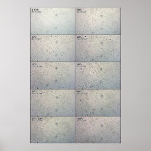 Confluence follow-up Chart Posters