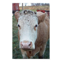 Confused Cow posters by srs232 Confused Cow posters