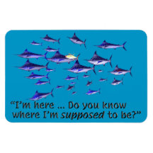 Confused tuna - Senior Citizens Vinyl Magnets