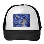 Confusion Hat