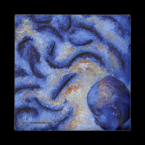 Confusion Magnet magnets