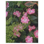 Confusion Of Plants flyers
