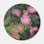 Confusion Of Plants Fridge Magnet