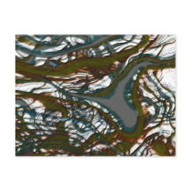 Confusion Postcards