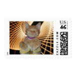 Congat! postage