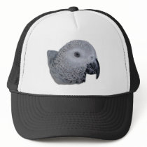 Congo African Grey parrot Hats