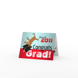 Graduation Invitation