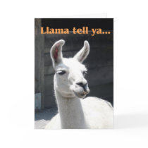 Congrats on Promotion - Llama Greeting Cards