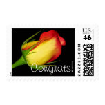 Congrats! postage