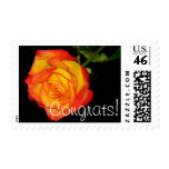 Congrats! postage