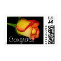 Congrats! stamp