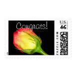 Congrats! postage