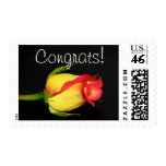 Congrats! postage
