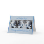 congratulations, baby, boy, card, blue, teddy,