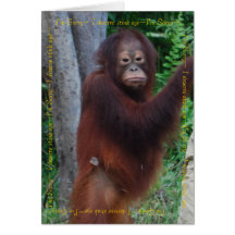 Congratulations and Best Wishes Greeting Cards