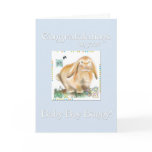 Congratulations-Baby Boy-Year of the Rabbit cards