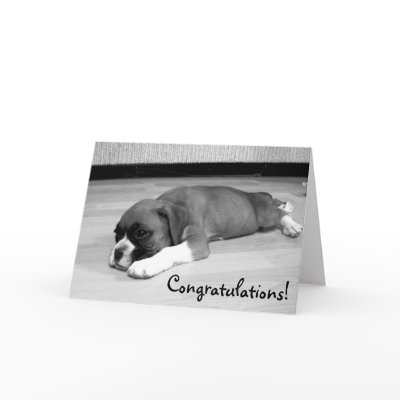 http://rlv.zcache.com/congratulations_boxer_dog_greeting_card-p137070914700231901z85p0_400.jpg