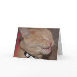 Congratulations! Greeting Card