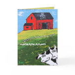 cows, cow, barn, funny, lol, congratulations
