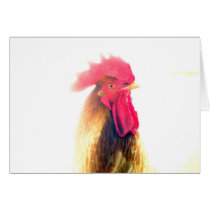 Congratulations Greeting Cards