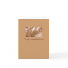 postcard - Congratulations... On your new arrival