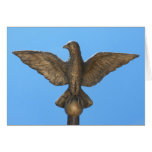 Congratulations: Eagle & Blue Sky Card