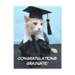 Congratulations Graduate! Post Cards