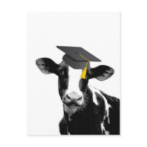 Congratulations Graduation Funny Cow in Cap Post Cards
