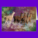 Congratulations! Llamas walking on clouds cards