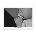 Congratulations, New Baby postcards