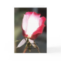 Congratulations on your ... cards by joanngard Congratulations on your ... cards