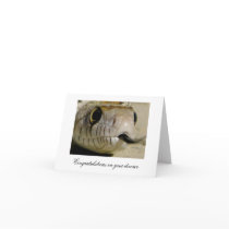 Congratulations on your divorce ... cards by kym_beckwith Congratulations on your divorce ... cards