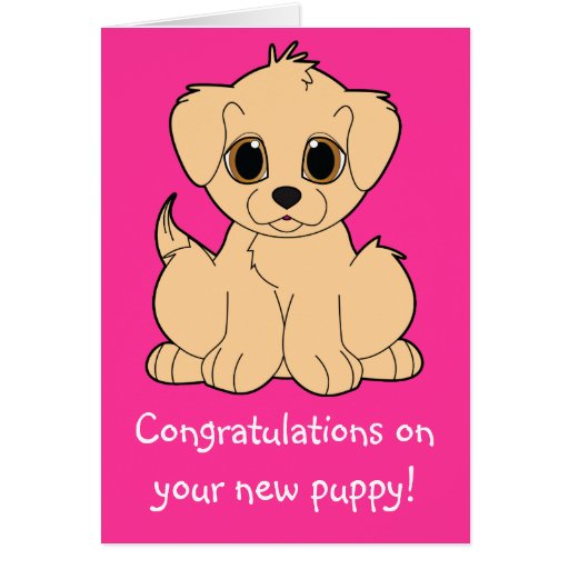Congratulations on Your New Puppy Greeting Card | Zazzle