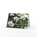 Congratulations on your Special Day cards by seashell2 Congratulations on your Special Day cards