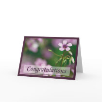 Congratulations - Pink Wood Sorrel Greeting Card