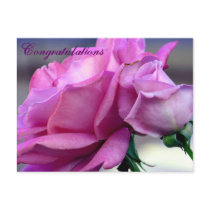 Congratulations_ Postcard
