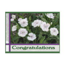 congratulations postcards