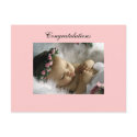 Congratulations Postcard by magnetic Congratulations Postcard