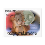 Congratulations Postcard