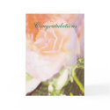 Congratulations Rose cards