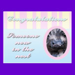 Congratutions on you new baby girl or boy postcards
