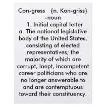Congress: A definition flyers