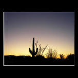 Congress Arizona Desert Sunset postcards