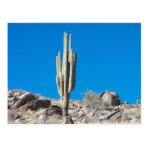 Congress, Arizona Post Card