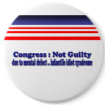 Congress Pins
